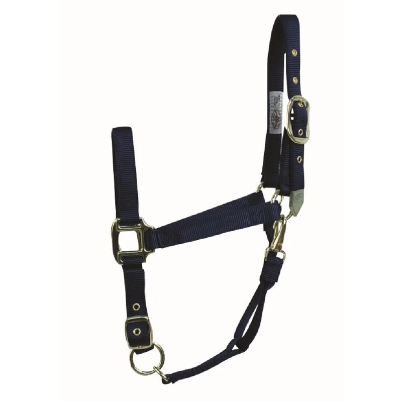 Western Rawhide Signature Classic Halter W/Snap - Navy