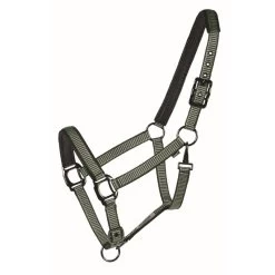 Western Rawhide Country LegendDesigner Padded Halter - Hunter/Mint