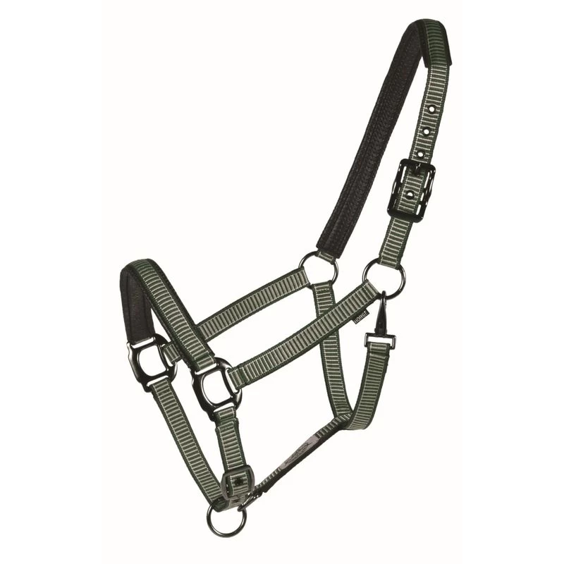 Western Rawhide Country LegendDesigner Padded Halter - Hunter/Mint