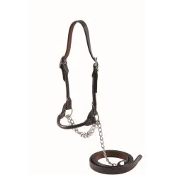 Western Rawhide Country Legend Rolled Noseband Cow Halter - Dark Oil
