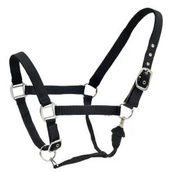 Centaur Cushion Web Breakaway Halter - Black