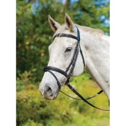 Shires Avignon Louisville Bridle - Havana