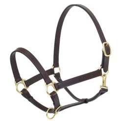 Camelot Stable Halter - Brown