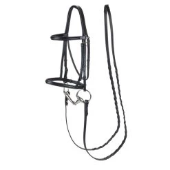 Kincade Plain Raised Bridle - Black
