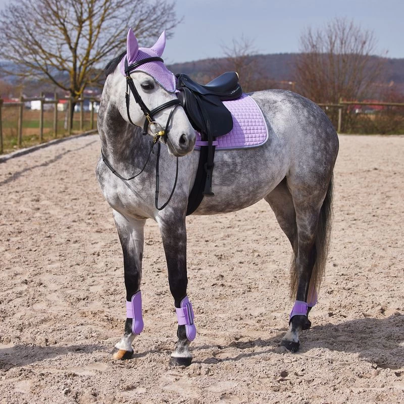 Horze Adepto Tendon Boots - Languid Lavender Purple - Image 2