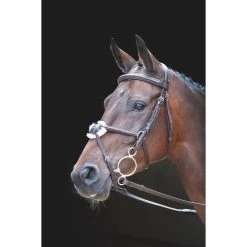 Shires Rossano Venice Bridle - Havana