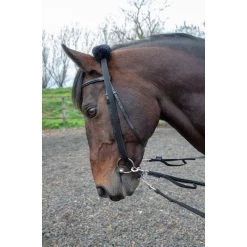 Shires Lunging Adapter - Black