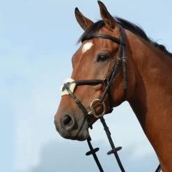 Collegiate Syntovia+ Padded Raised Figure 8 Bridle - Black