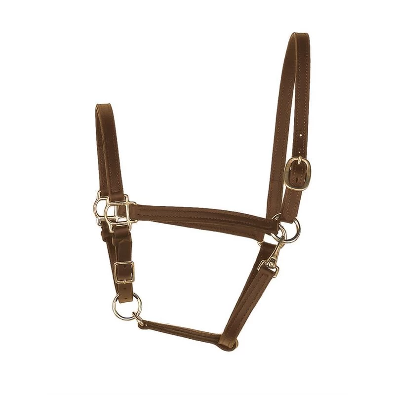 Perri's 3/4" Leather Turnout Halter - Havana