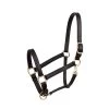 Perri's 1" Leather Turnout Halter - Black