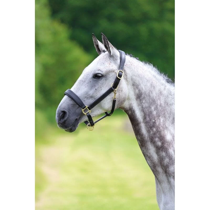 Blenheim Leather Travel Headcollar - Black