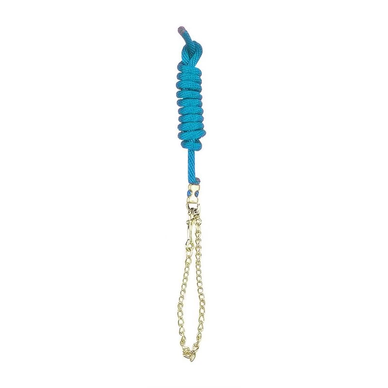 Perri's 5/8" Nylon Lead W/Chain - Aqua