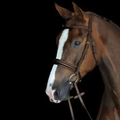 Collegiate Mono Crown Padded Raised Cavesson Bridle - Brown