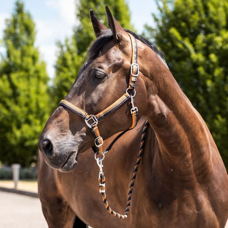 Horze Sandnes Halter & Lead Set - Dark Navy/Caramel Cafe - Image 2