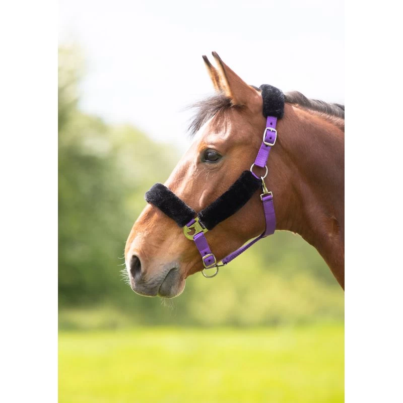 Shires Fleece Lined Headcollar W/Breakaway - Purple