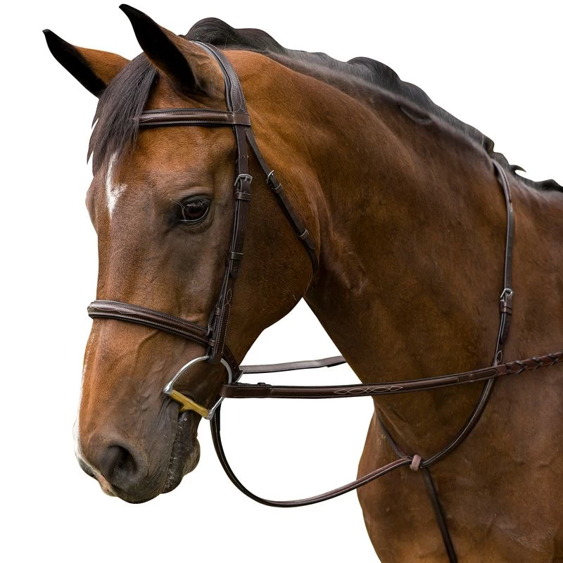 M. Toulouse Novice Hunter Bridle - Chocolate