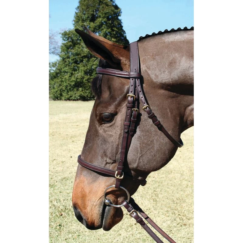 Nunn Finer Nunn Finer Event Bridle - Havana/Brass