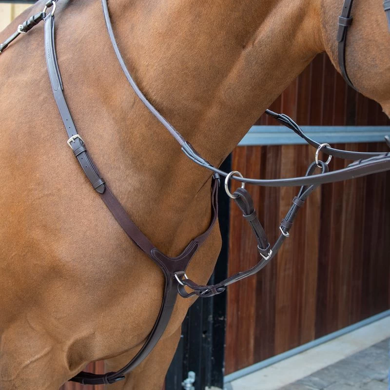 Shires Velociti Lusso Breastplate - Havana