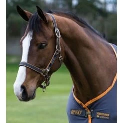 Amigo Halter - Dark Navy/Red/Orange